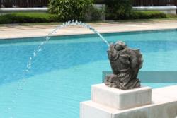 Freesia Woods (D21), Condominium #139743922